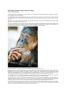 Het kleine verschil tussen mens en chimp