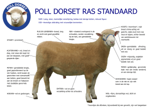 POLL DORSET RAS STANDAARD