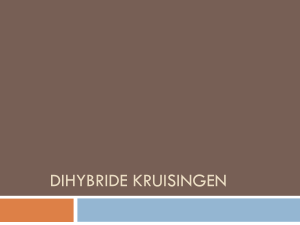 Dihybride kruisingen