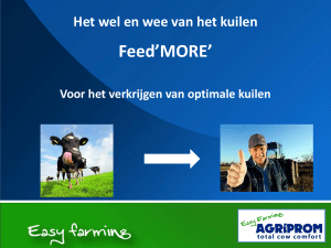 Feed`MORE` Silage Inoculanten