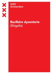 Bacillaire dysenterie (Shigella)