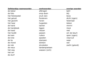 Zelfstandige naamwoorden werkwoorden overige