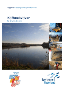 Kijfhoekvijver - Sportvisserij Zuidwest Nederland