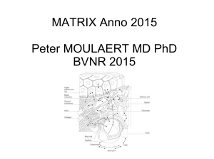 MATRIX Anno 2015 Peter MOULAERT MD PhD BVNR 2015