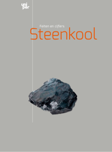 Steenkool - Scripta Communicatie