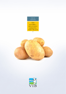 facts series Een schimmel- resistente aardappel voor België