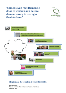 2. Het Netwerk, de deelnemers en de organisatie