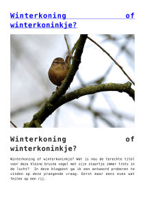 Winterkoning of winterkoninkje?