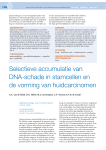 Selectieve accumulatie van DNA-schade in stamcellen en
