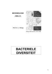 bacteriele diversiteit