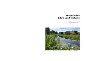 Concept structuurvisie Eiland