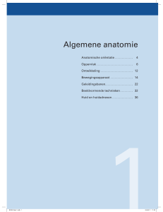 Algemene anatomie