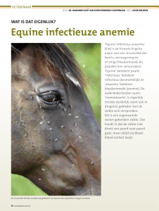 equine infectieuze anemie