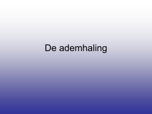 De ademhaling