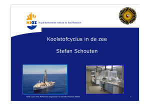 Koolstofcyclus in de zee Stefan Schouten