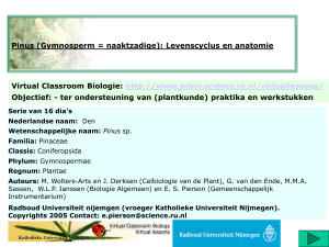 PowerPoint Presentation - Virtual Classroom Biologie
