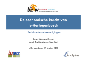 De economische kracht van `s-Hertogenbosch