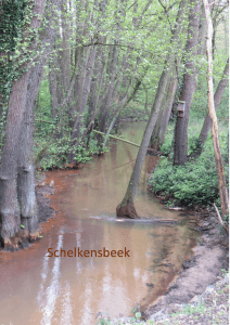 Schelkensbeek
