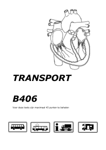 transport b406