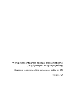 Werkproces 1.0 - Wegwijzer Jeugd en Veiligheid
