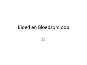 Bloed en bloedsomloop