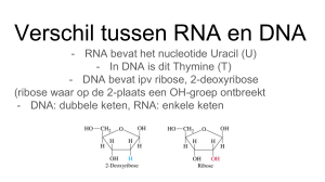 Van RNA naar DNA