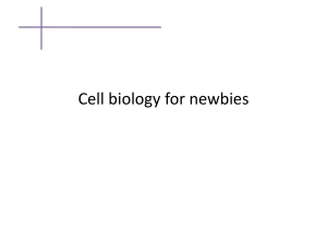 Cell biology for newbies