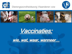 Presentatie vaccinatie varkens