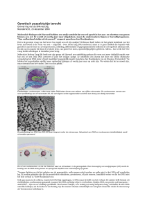 Genetisch puzzelstukje terecht
