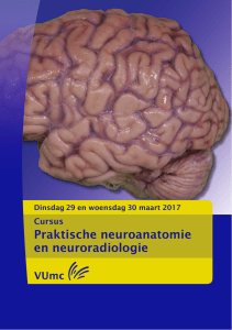 Praktische neuroanatomie en neuroradiologie