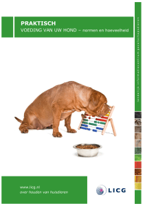 Voeding van uw hond - Normen en hoeveelheid