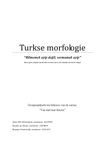Turkse morphologie