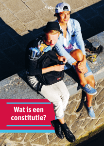 Wat is een constitutie?