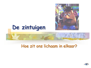 Je zintuigen