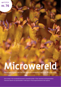 Microwereld