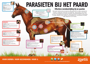 Deze poster heeft als doel te illustreren welke parasieten het meest