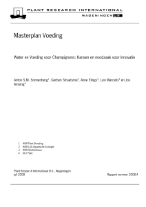 Masterplan voeding: water en voeding voor champignons: kansen