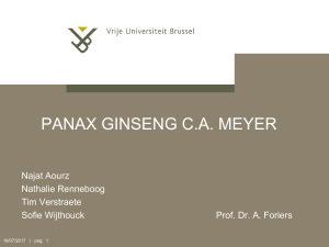 Panax Ginseng