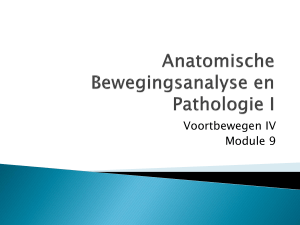Anatomische Bewegingsanalyse en Pathologie I