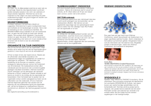 brochure - TIMONE Consultancy