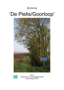 De Pielis/Goorloop