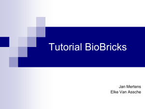 BioBrick Prefix