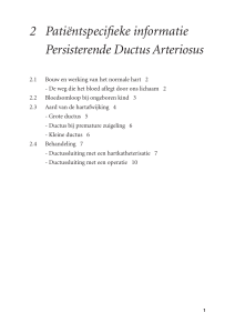Persisterende Ductus Arteriosus