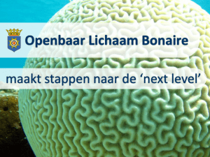 Informatiestromen Openbaar Lichaam Bonaire