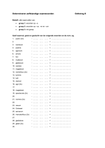Determineren zelfstandige naamwoorden