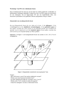 Workshop: Van DNA tot moleculaire boom