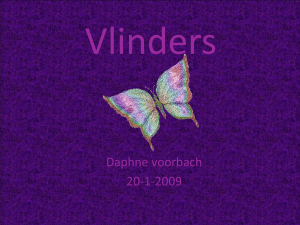 Vlinders - Welkom bij De_Rietvink.basisschoolweb.nl!