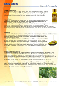 Informatie Avocado olie