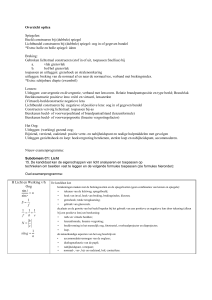 Overzicht optica