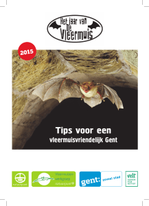Bijlage - Folder vleermuisvriendelijk Gent
